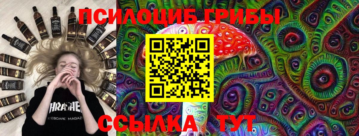 Заречный  Псилоцибиновые грибы MAGIC MUSHROOMS  Вход с VPN 